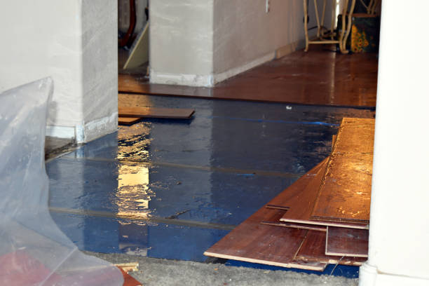 Professional Storm Water Damage Restoration technician working in Germantown, IL